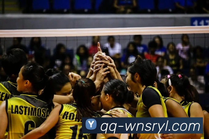 威尼斯人官网平台生态图